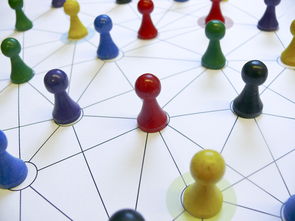 Leyu Sports (乐鱼体育)-中国篮球教练员战术执行力提升路径分析，中国篮球教练员等级划分标准