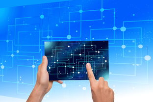 Leyu Sports (乐鱼体育)-中国篮球教练员战术执行力提升路径分析,中国篮球教练员等级划分标准 第2张 Leyu Sports (乐鱼体育)-中国篮球教练员战术执行力提升路径分析,中国篮球教练员等级划分标准 第2张