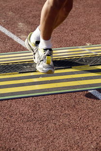 乐鱼(LEYU)体育-中国篮球教练员战术执行能力培养,篮球教练技术 第2张 乐鱼(LEYU)体育-中国篮球教练员战术执行能力培养,篮球教练技术 第2张