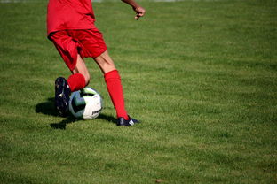 Leyu Sport登录入口-中国篮球教练员战术执行能力评估体系，中国篮球教练员培训等级