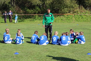 Leyu Sport登录入口-中国篮球教练员战术执行能力评估体系，中国篮球教练员培训等级