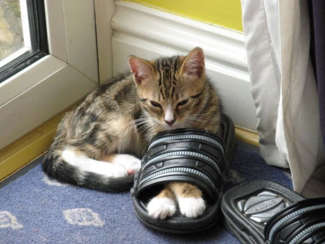 Leyu Sport登录入口-德甲球队数据驱动的快速反击战术优化案例，足球快攻反击战术