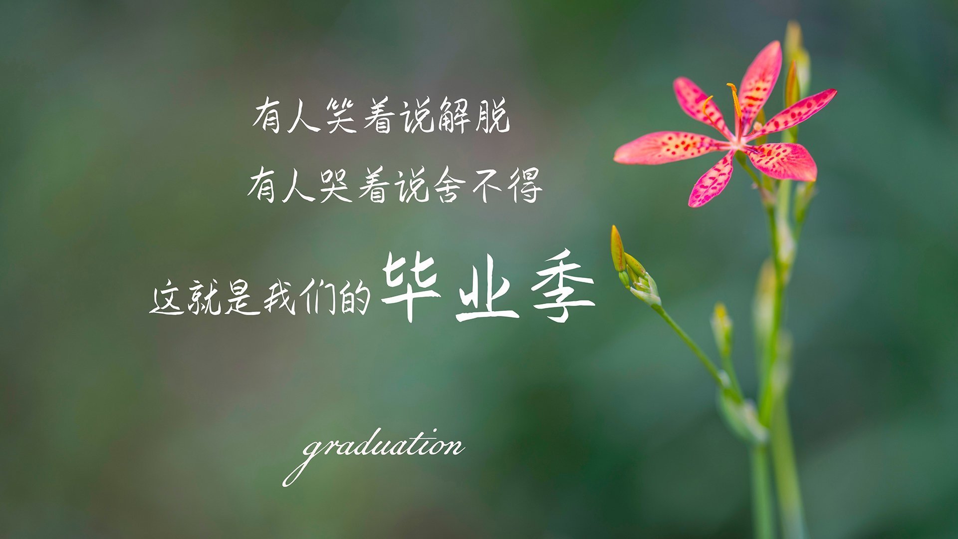 乐鱼vip-2025轻艇马拉松:湖上竞技显英姿,赛艇马拉松 第3张 乐鱼vip-2025轻艇马拉松:湖上竞技显英姿,赛艇马拉松 第3张