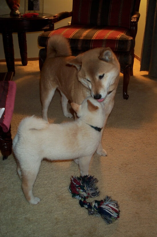 Leyu Sports (乐鱼体育)-中国三人篮球男队拓展战术深度多点开花，中国三人篮球队员资料