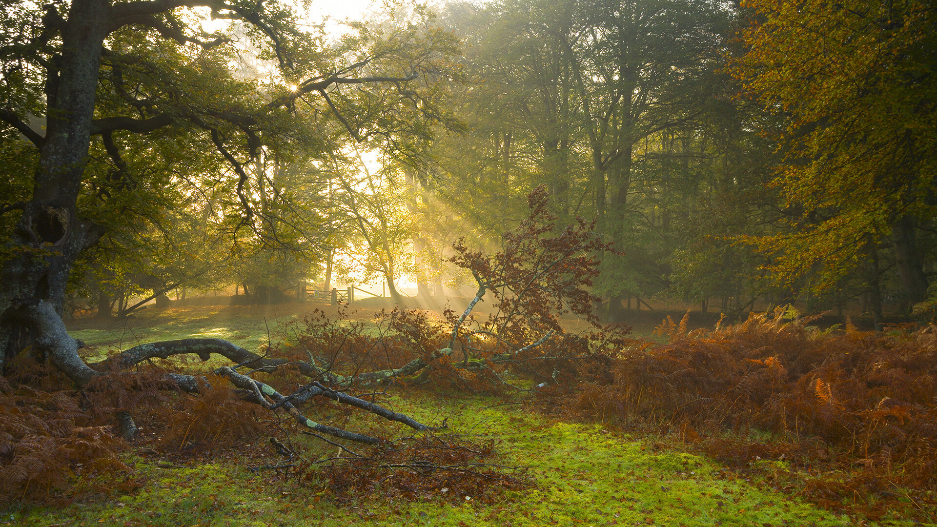 乐鱼体育平台app下载-基层足球教练能力提升缺乏平台，基层足球教练能力提升缺乏平台怎么办