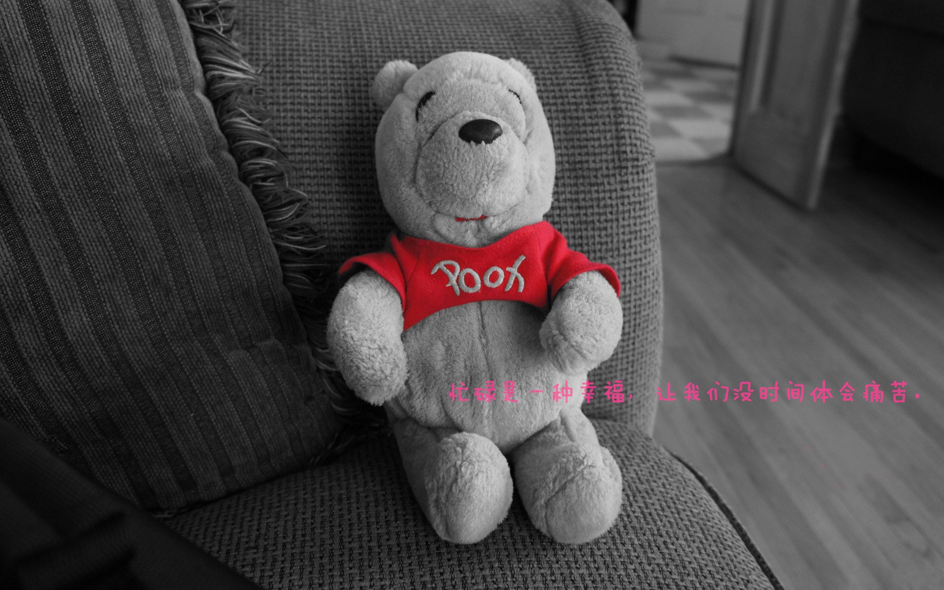 乐鱼体育登录-女子仰泳美澳争霸 美国占先，澳大利亚女子仰泳