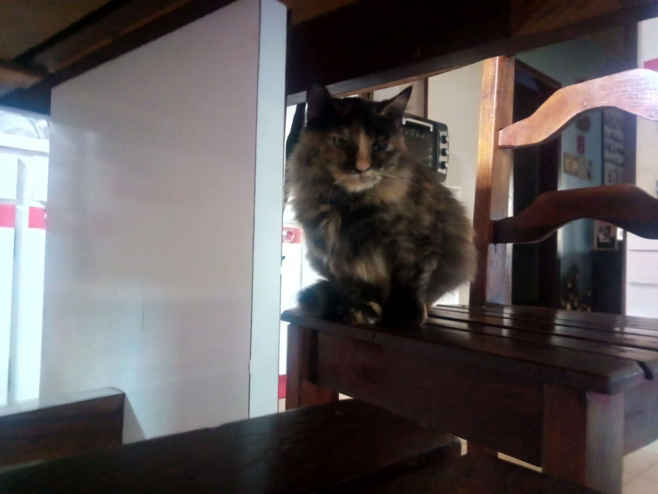 乐鱼体育(中国)官方网站-德国蝶泳小将游进半决赛，世界蝶泳冠军视频