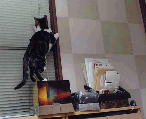 乐鱼体育平台app下载-“帕布罗·马特拉：阿根廷美洲狮队的旗帜性人物，迎接未来更多挑战”