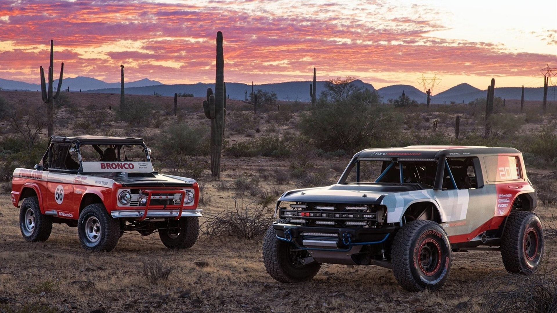 leyu乐鱼官网登录入口-俱乐部重视球员课外发展组织多项文化活动提升综合素养，足球俱乐部组织