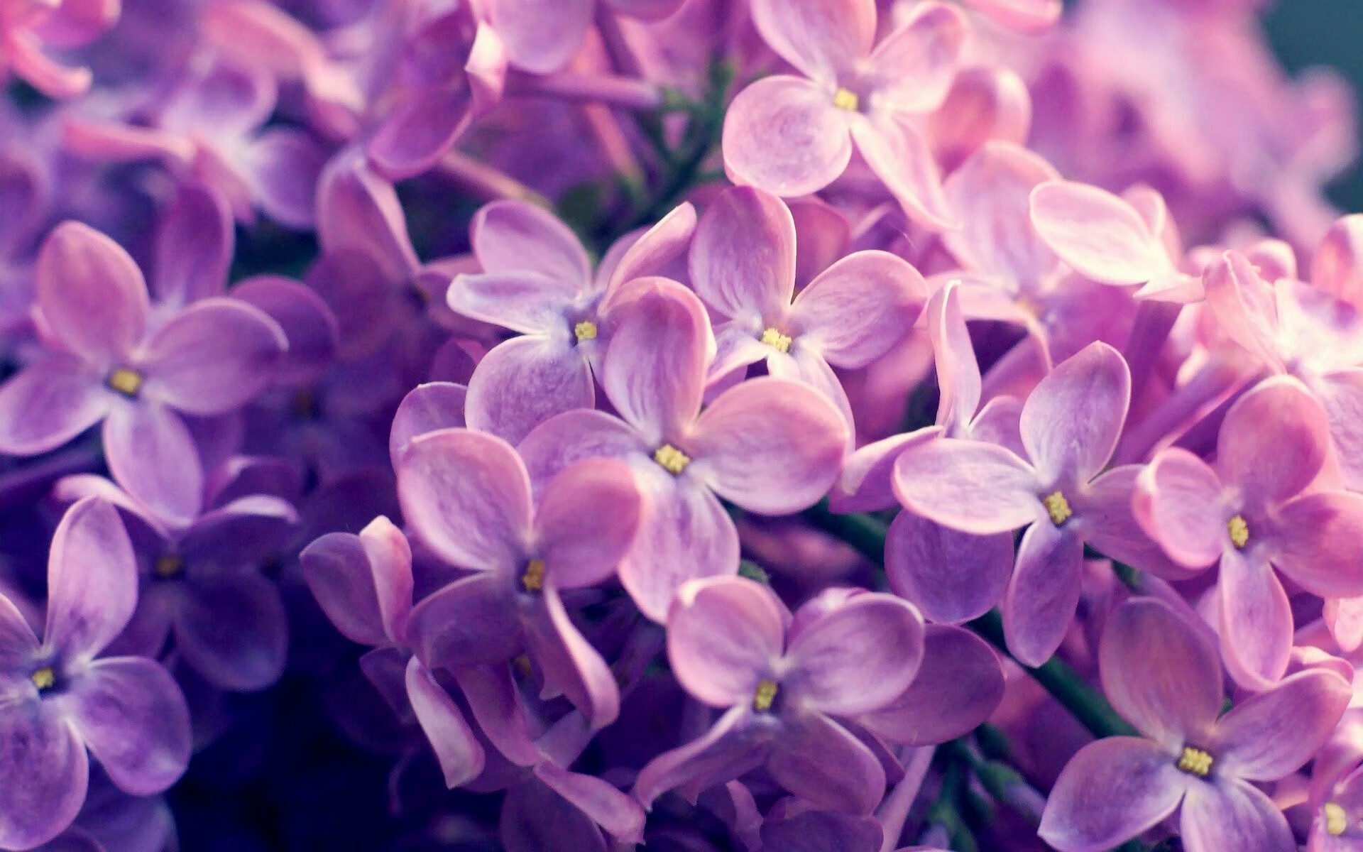 leyu乐鱼-意甲后防线重建成效评估,意甲注重防守