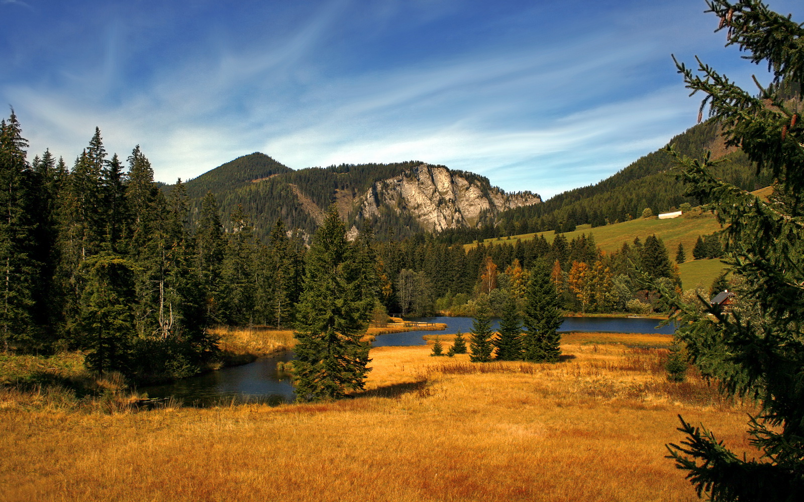 下载乐鱼体育APP-拜仁慕尼黑高歌猛进,德甲领跑形势稳定