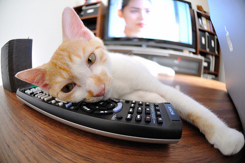 乐鱼电竞在线平台登录入口-欧洲杯战术重塑:变化多端引领新潮!,欧洲杯战记