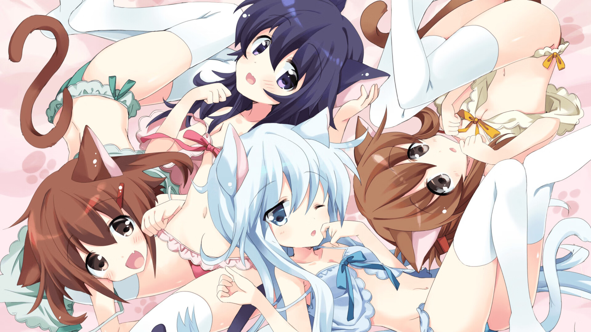 乐鱼体育App下载-澳大利亚袋鼠队的全员协作让战术层次更加丰富,澳大利亚 袋鼠 你只关心