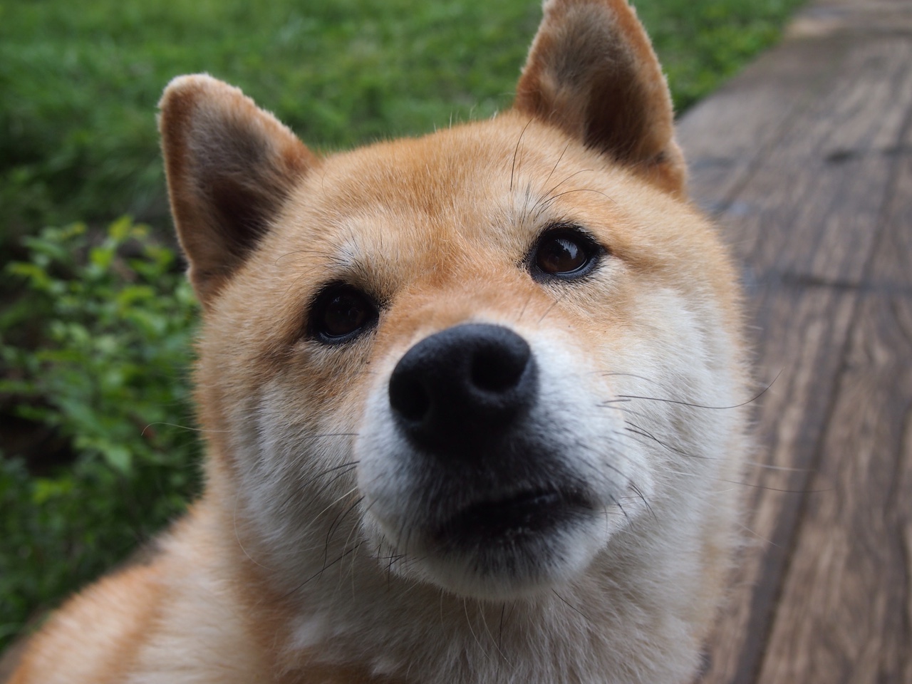 乐鱼电竞在线平台-著名篮球教练推出青训课程推广科学训练理念,青少年篮球教练培训教案