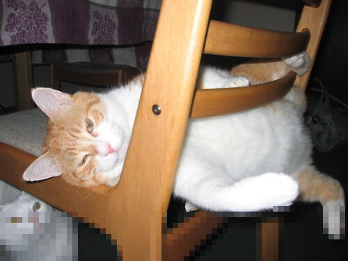 乐鱼体育(中国)官方网站-西甲破门瞬间:天王铁腰发威,精彩纷呈!,西甲抢断王