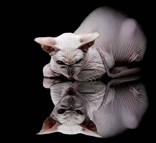 乐鱼体育-足球运动在疫情后逐步恢复,行业复苏势头明显,疫情足球比赛什么时候恢复