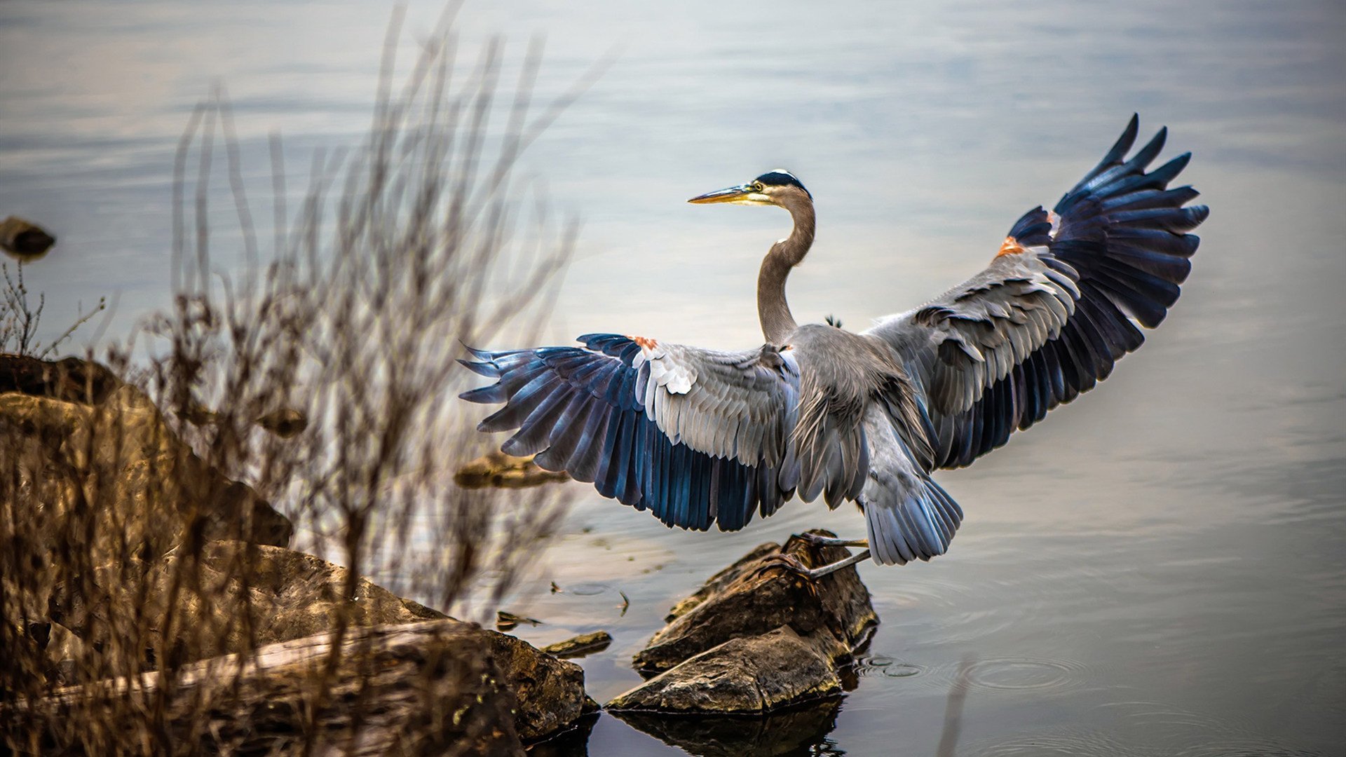 阿森纳青训涌现新星,未来核心逐渐成型