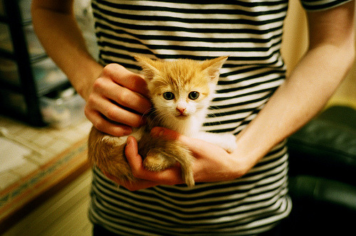 乐鱼体育平台官网-上赛季曾单场轰33+5+4！浙江广厦冠军小外援无人问津，或就此告别CBA赛场